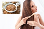 Flaxseeds for hair health, Flaxseeds latest, how flaxseeds can help for a long and healthy hair, Hair growth