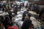 Hospital attack in Gaza, death toll in Israel, 500 killed at gaza hospital attack, Middle east