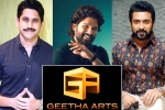 Geetha Arts new announcements, Naga Chaitanya, geetha arts to announce three pan indian films, Boyapati srinu