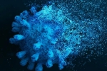 Gene Variant Coronavirus latest, Sweden, researchers identify gene variant that protects against coronavirus, Jennifer