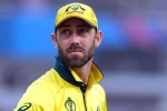 Glenn Maxwell career, Glenn Maxwell records, australian cricketer glenn maxwell s shocking drinking session, Brett lee Glenn Maxwell career, Glenn Maxwell records, australian cricketer glenn maxwell s shocking drinking session, Brett lee