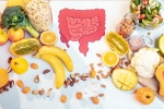 Gut Health new breaking, Gut Health in season, how to maintain good gut health, Om raut