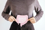 Gut Vs Skin bad, Gut Vs Skin tips, your gut decides about your skin, Guru