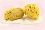 menstrual sponge australia, synthetic menstrual sponge, gynecologist warns women against using sea sponges as reusable nurturing alternatives to tampons, Celine