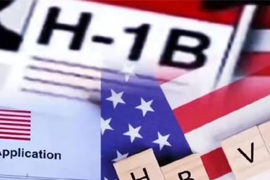 H-1B Visa Selection rate hits a high of 75%