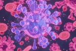 HMPV Virus in India, HMPV Virus cases, first hmpv virus case detected in india s bengaluru, Hmpv virus cases