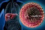 Hepatitis C virus, Gilead Sciences, good news india may soon get treatment for hepatitis c, Lower breast cancer risk