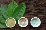 lifestyle, disorders care, this pain treating herbal supplement is not safe for use, Kratom
