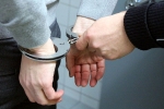 houston, houston woman, houston woman found guilty robbing indian american homes across u s, Disguise