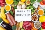 Immunity Tips for humans, Immunity Tips for humans, interesting science backed tips to feel your best, Tips for body
