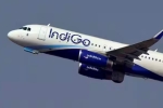 Central Asian cities Indigo Flights breaking, Central Asian cities Indigo Flights breaking, indigo cancels flights to central asian cities till feb 11th, Who