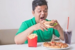 India Urgent War on Junk Food, India Urgent War on Junk Food latest breaking, why india needs an urgent war on junk food, Buy India Urgent War on Junk Food, India Urgent War on Junk Food latest breaking, why india needs an urgent war on junk food, Buy