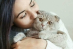 Cat Owner, International Cat Day, international cat day reasons why being a cat owner is good for health, Positive emotions