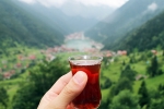 International Tea Day, International Tea Day updates, international tea day 2025 facts and significance, Sri lanka