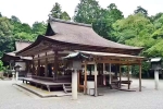 Japan Viral Mikami Shrine pictures, Japan Viral Mikami Shrine latest breaking, why are travellers flocking to japan s viral mikami shrine, Campa Japan Viral Mikami Shrine pictures, Japan Viral Mikami Shrine latest breaking, why are travellers flocking to japan s viral mikami shrine, Campa