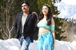 Katamarayudu latest, Katamarayudu latest, katamarayudu first weekend collections, Katamarayudu