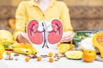 Kidneys Health India, Kidneys Health tips, how to keep your kidneys healthy, Stuffed
