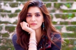 Entertainment, Varun Dhawan, kriti sanon tested positive for covid 19, Actress kriti sanon