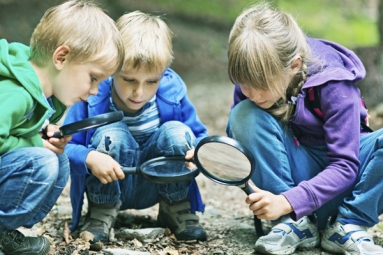 Learning Outside Classroom May Boost Your Child&#039;s Knowledge
