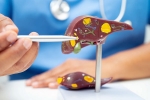 Liver Health breaking, Liver Health, factors that worsens your liver health, Cancer