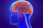 Coronavirus impact, Coronavirus brain news, coronavirus can cause long term loss of brain tissue, Fda