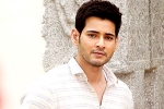 Bharat anu Nenu, Spyder collections, mahesh babu to take a long break, Bharat anu nenu