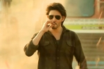 Sree Leela, Sree Leela, major changed for mahesh babu s guntur kaaram, Pooja hegde