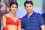 Pooja Hegde future projects, Pooja Hegde with Trivikram, mahesh babu all set to romance pooja hegde again, Aravinda sametha veera raghava