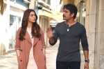 Manmadhudu 2 telugu movie review, Manmadhudu 2 movie story, manmadhudu 2 movie review rating story cast and crew, Rahul ravindran