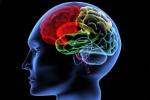 Brain: Use it or lose it, Iowa State University, brain use it or lose it, Npt