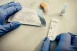 Antibodies tested on monkeys, Antibodies tested on monkeys, monkeys get protection against coronavirus through a prototype vaccine, Monkeys