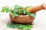 Moringa in diet, Moringa health benefits, is moringa a must have in your diet, Doct