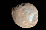 Martian Moon breaking, NASA latest, nasa s pic of martian moon phobos breaks the internet, Thematic