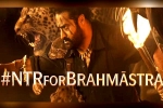 Ayan Mukerji, Brahmastra Telugu event, ntr turns chief guest for brahmastra event, Fox star