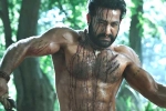 Ramaraju for Bheem latest updates, RRR, ramaraju for bheem ntr s deadly transformation as komaram bheem, Best actors