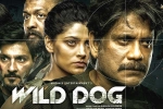 Wild Dog new updates, Wild Dog release poster, release date of nag s wild dog is out, Saiyami kher