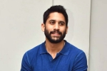 Naga Chaitanya, Naga Chaitanya updates, change of plans for naga chaitanya, Nandini reddy