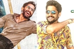 Naga Chaitanya breaking news, Bangarraju, naga chaitanya gearing up with two films, Nagarjuna akkineni