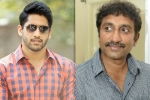 Srinu Vaitla next film, Naga Chaitanya next movie, naga chaitanya to work with srinu vaitla, Mister