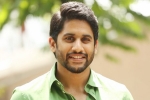 Naga Chaitanya new film, Naga Chaitanya next film, naga chaitanya signs his next, Savyasachi