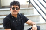 Nagarjuna new movie, Nagarjuna Akhil movie, nagarjuna s 100th film locked, Akhil movie