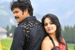 Anushka updates, Anushka latest, nag and anushka to team up, Raju gari gadhi 2