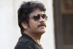 Nagarjuna next, Nagarjuna news, nag signs a bollywood flick, Devadas