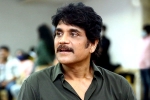 Nagarjuna, Nagarjuna latest updates, nagarjuna in a periodic drama, God father