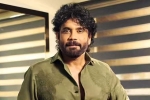 Nagarjuna Personal Rights news, Nagarjuna Personal Rights news, delhi high on nagarjuna s personal rights, Nagarjuna