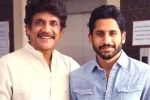 Nagarjuna breaking news, Nagarjuna tweets, nagarjuna s clarification on naga chaitanya s divorce, Nagarjuna akkineni