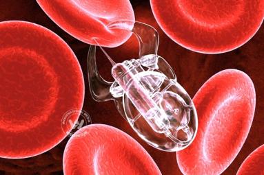 India into select club of countries for Nano medicine breakthrough India into select club of countries for Nano medicine breakthrough},{India into select club of countries for Nano medicine breakthrough