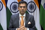 raveesh kumar on pakistan, pakistan terror groups raveesh kumar., mea naya pakistan with naya soch should show naya action against terrorist groups, Cross border terrorism