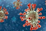 China Covid Row breaking news, Coronavirus, new china coronavirus variant traced in india, Omicron