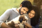 Ninu Veedani Needanu Nene movie story, Ninu Veedani Needanu Nene movie story, ninu veedani needanu nene movie review rating story cast and crew, Tada